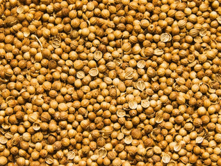 Coriander background