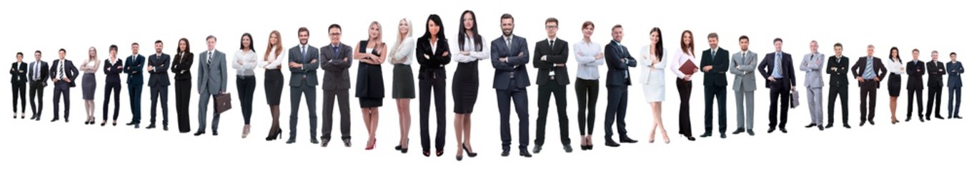 panoramic photo of a group of confident business people.