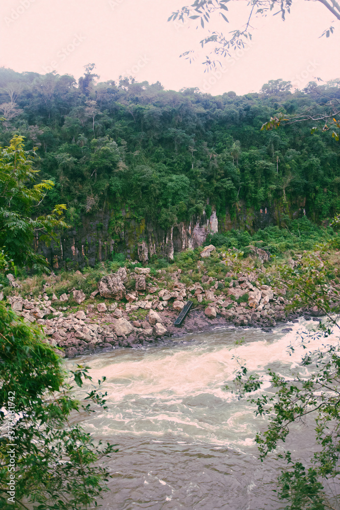 Canvas Prints River between stones and trees in the middle of the jungle