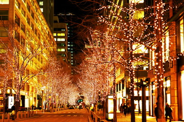 冬の東京を盛上げるイルミネーション