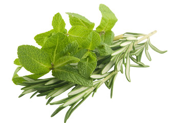 Mint and rosemary