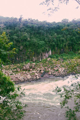 River between stones and trees in the middle of the jungle