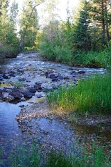 View of a running stream over boulders in the Laurance S. Rockefeller Preserve, a nature refuge on Phelps Lake in Grand Teton National Park in Jackson, Wyoming, United States