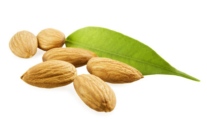 Almonds and a green leaf