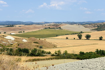 Fototapeta na wymiar Panorama der Crete Senesi mit hellen Feldern und weitem Horizont
