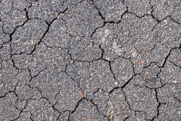 Nature background of cracked dry lands.