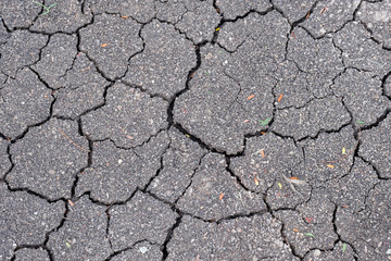 Nature background of cracked dry lands.