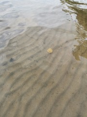 footprints on the beach