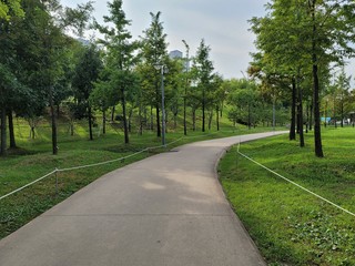 path in the park