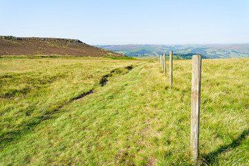 Fototapeta na wymiar Old fence posts alongside a footpath on Callow Bank in the Peak District