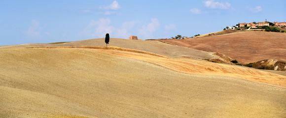 Sanfte, warme Landschaft der Toskana mit Weizenfeldern, strahlend blauem Himmel  und einem einsamen Baum