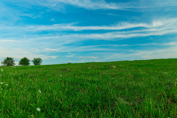 soft focus idyllic green grass field scenic view horizon background with trees and blue sky scenic view