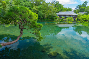 Obraz premium 楽寿園 小浜池 珍しい満水