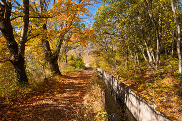 Gap Canal in full Autumn colors. City of Gap, Hautes-Alpes (05), French Alps, France