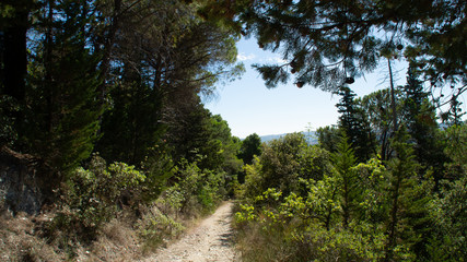 Vista lungo il sentiero a Serra San Quirico