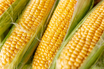 Cobs of fresh golden corn. Vitamins and healthy food. Close-up.