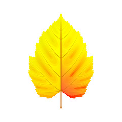 Vivid yellow autumn leaf