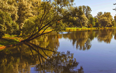 Fototapeta premium A park. Summer Saint Petersburg
