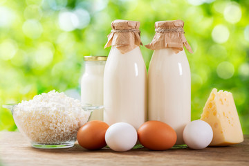 Obraz na płótnie Canvas Dairy products : milk, cheese, cottage cheese, eggs, yogurt on a green background