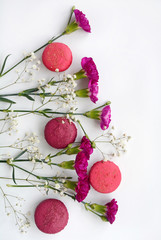 Pink flowers of carnations and macaroons on a white background