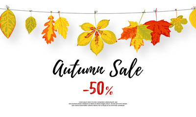 Background design with leaf in flat style. Isolated on white background. Autumn sale 50 text. Promotion banner. Vector template for poster, web ad, flyer design, leaflet, brochure etc.