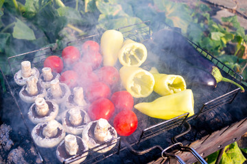 Grilled vegetables eggplants, bell peppers, tomatoes, mushrooms , in smoke