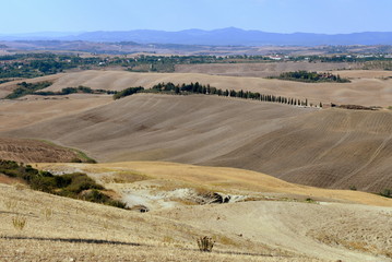 Hügeliges Panorama der Crete Senesi