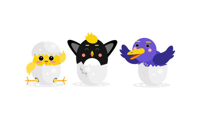 Cute Birds and Chicks Hatching from Egg Vector Set