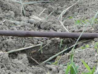 Goccia d'acqua