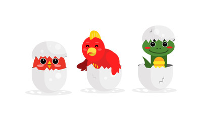 Cute Bird and Reptile Hatching from Egg Vector Set
