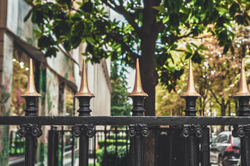Avenue Montaigne in Paris