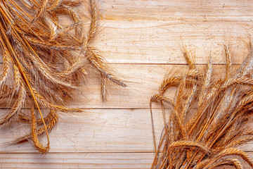 Wheat ear. Whole, barley, harvest wheat sprouts. Wheat grain ear or rye spike plant on wooden...