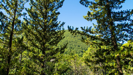 Vista lungo il sentiero a Serra San Quirico