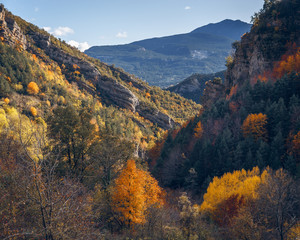 Autumn trees landscape, fall season in Bergueda, Catalonia