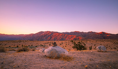 sunset in the desert