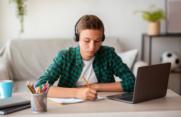 Naklejka na ściany i meble School guy having online lesson while sitting at home