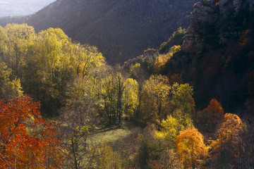 Autumn trees landscape, fall season in Bergueda, Catalonia