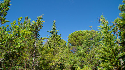 Vista lungo il sentiero a Serra San Quirico
