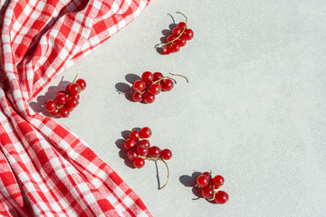 Bunches of red currants on a light table with copy space with a hard shadow