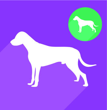Labrador, dog silhouette