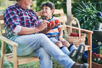 Grandfather with grandson sitting together in the vegetable garden