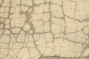 asphalt in cracks texture / abstract background cracks on asphalt road
