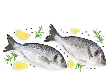 Fish dorado isolated on white background with clipping path and full depth of field. Top view with copy space for your text. Flat lay