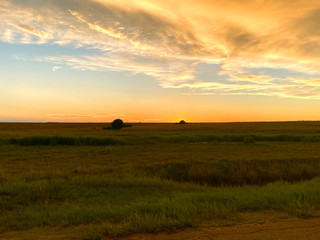 sunset in the field