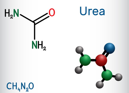 Urea, carbamide molecule. It is a nitrogenous compound containing a carbonyl group, is used as fertilizer, in cosmetics. Structural chemical formula and molecule model
