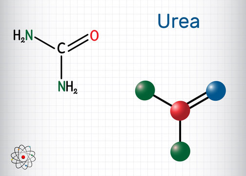 Urea, carbamide molecule. It is a nitrogenous compound containing a carbonyl group, is used as fertilizer, in cosmetics. Structural chemical formula and molecule model. Sheet of paper in a cage