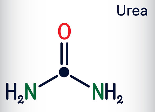 Urea, carbamide molecule. It is a nitrogenous compound containing a carbonyl group, is used as fertilizer, in cosmetics. Skeletal chemical formula