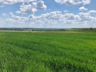 Big green field, blue sky and hills afar
