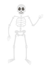 Halloween party illustration with human skeleton. Vector skull and bones. Scary design for Autumn Samhain party. All saints day character..