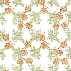 Vintage seamless pattern. European larchs cones and  branch on white background. Hand-drawn collection of winter symbols. Vector illustration.